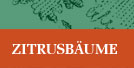 citrusbaeume